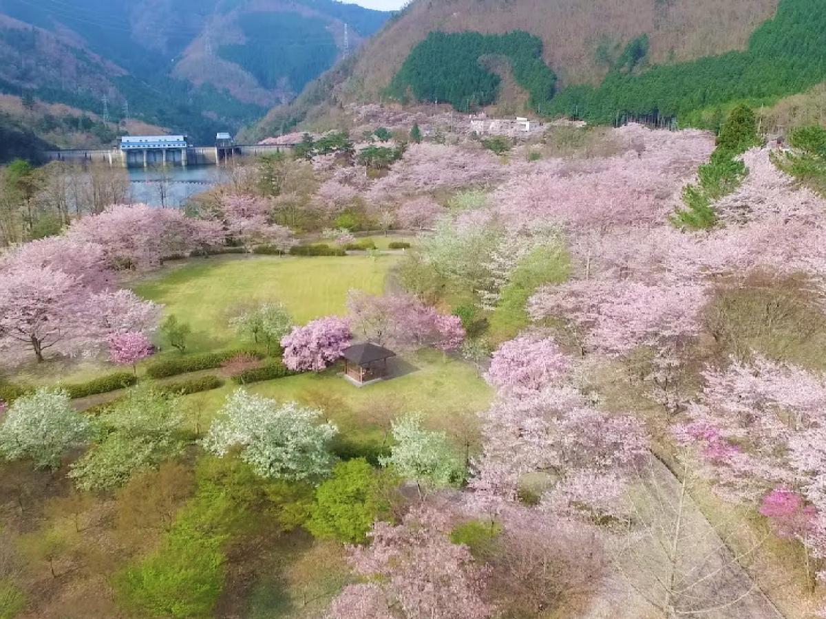 Ryokan Kigusuriya Nantan city Exteriér fotografie